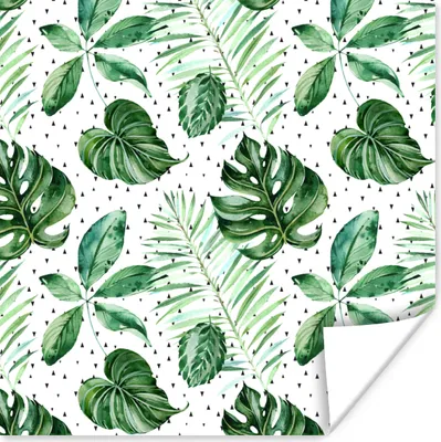 Produktbild von MuchoWow® Poster Blätter - Tropisch - Muster - Grün 100x100 cm - Babyzimmer