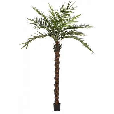 Produktbild von EUROPALMS Kentia Palme deluxe, Kunstpflanze 300cm (82511370)
