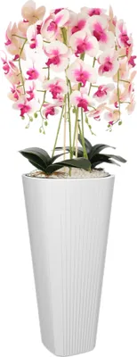 A white planter with a tall arrangement of pink and white orchids.