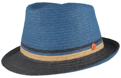 Productafbeelding van Mayser, inklapbare trilby strooien hoed, model Troy, meerkleurig, blauw, maat L