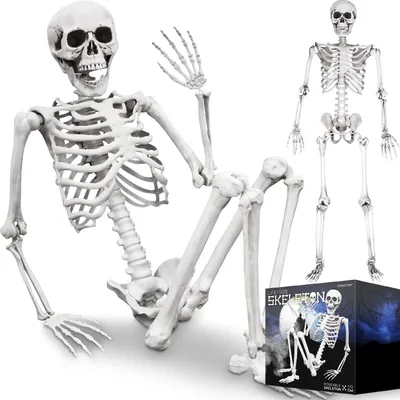 Lebensgroßes Skelett 1,70 m – Halloween-Deko – 170 x 45 cm