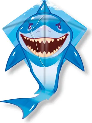 Produktbild von Kites Ready 2 Fly - Pop -up Nylon Vlieger Shark