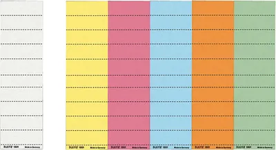 Image de Leitz Beschriftungsschild 60090001 5x2cm ws 108St