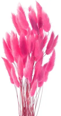 Immagine prodotto di Erba della pampa, rosa, eleganti decorazioni per la casa e per le feste