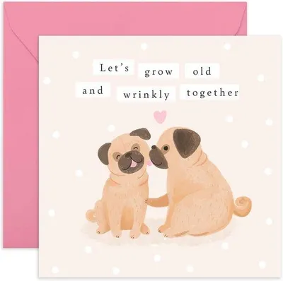 Produktbild von Famanu Geburtstagskarte mit Humor über alte Hunde - Inklusive Sticker