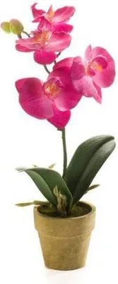 Produktbild von künstliche Mini Orchidee im Topf pink H. 25cm Emerald Zimmerpflanze WA