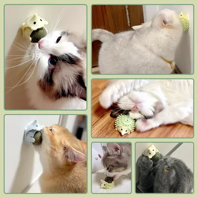 Produktbild von Katzenminze Bälle Spielzeug für Katzen - Wand Drehbares Katzenspielzeug Leckstein (3 Stück)