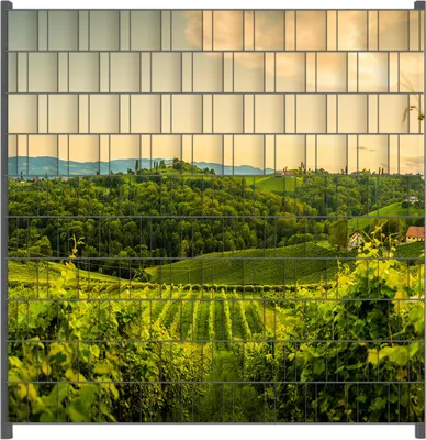 Produktbild von Wallario Zaunsichtschutz mit Motiv Abendlicht über Weinbergen für Ein- und Doppelstabmatten Zäune in der Größe 200 x 200 cm