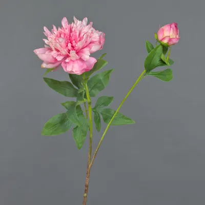 Produktbild von artplants.de Deko Pfingstrose BADIS, rosa, 75cm - Künstliche Pfingstrose
