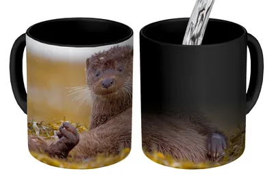Obrázok produktu pre MuchoWow® Magický pohár Škótska vydra 350 ml Pohár na zmenu farby Darček Nápad na darček - Foto hrnček