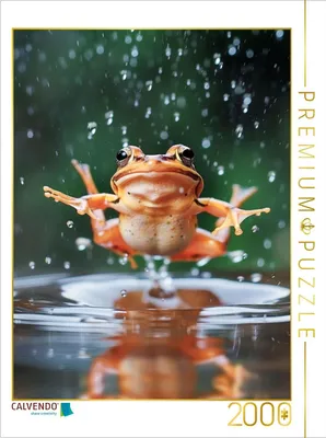 Produktbild von CALVENDO Puzzle Glaube an dich selbst, so wie ein Frosch glaubt, dass er fliegen kann | 2000 Teile Lege-Größe 90x67cm Foto-Puzzle für glückliche Stunden