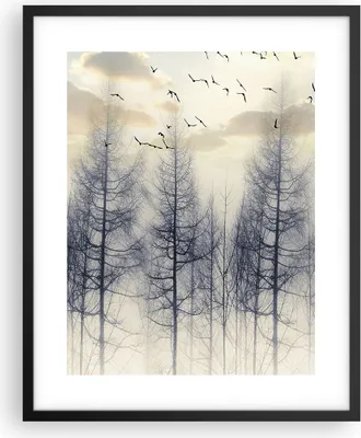 Produktbild von Gerahmtes Poster - Schwarzer Rahmen - Bäume Vögel Himmel - 40x50 cm - Wand Bild - Wanddeko - Wandbilder - Kunstposter - Wandposter - Bilderrahmen - Bilder - Kunstdruck - P2BPA40x50-4546