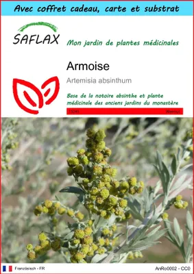 Image de SAFLAX Ensemble-cadeau - Armoise - 500 graines - Artemisia