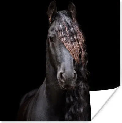 Produktbild von MuchoWow® Poster Pferde - Friesisch - Mähne - Schwarz - Tiere 30x30 cm - Wandposter - Printing