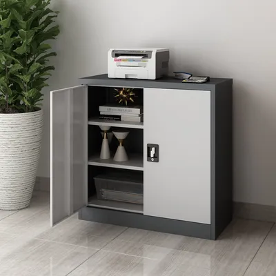 A metal filing cabinet with two doors, one open, showing shelves with items inside. A printer and glasses are on top of the cabinet. A large potted plant is to the left.