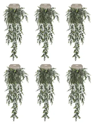 Produktbild von 6er Set künstliche Eucalypthus mit 5 Ranken grün L. 75cm Emerald Blätter
