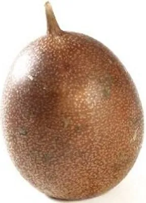 Produktbild von Passion Frucht braun 6-7cm | Passiflora edulis