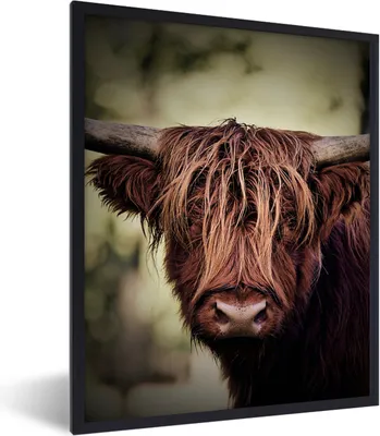 Produktbild von MuchoWow® Gerahmtes Poster Schottischer Hochländer - Licht - Porträt - Natur 30x40 cm - Poster mit Schwarzem Bilderrahmen Wandposter Rahmen Foto Bilder - Wanddeko - Kunstdrucke