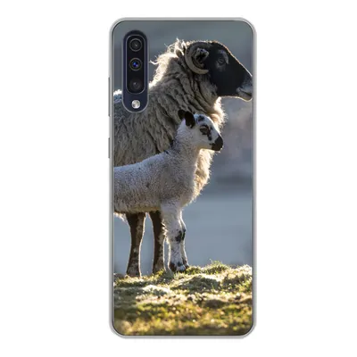 Produktbild von MuchoWow® Handyhülle Schutzhülle Hülle für Samsung Galaxy A50 Schaf - Lamm - Sonne Silikon Softcase Handy Hülle - Mobiltelefonhülle