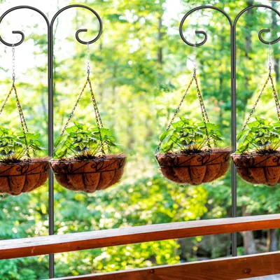 Four hanging baskets with plants are displayed on a balcony with a blurred green background of trees.