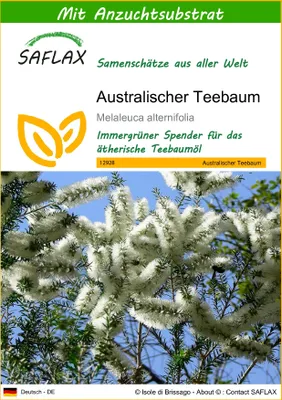 Produktbild von SAFLAX - Australischer Teebaum - Melaleuca alternifolia - 400 Samen - Mit keimfreiem Anzuchtsubstrat