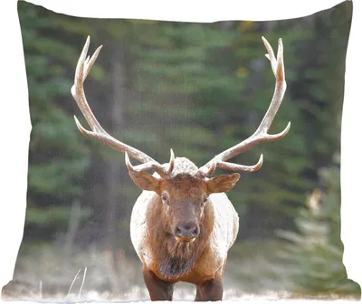 Produktbild von MuchoWow® Zierkissen Sofakissen Wohnzimmer Dekokissen 45x45 cm Hirsch - Baum - Geweih - Schlafpolster - Polster für das Sofa