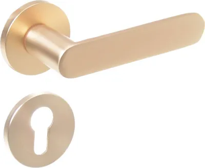 Zdjęcie produktu dla Zestaw rozet Aqbau® Klamka drzwiowa Klamka drzwiowa Zestaw klamek Okucie drzwiowe Gold (BB - Buntbart)