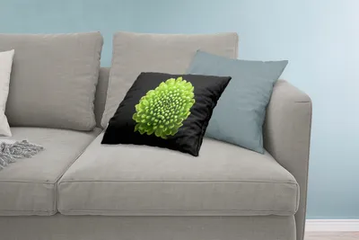 Produktbild von MuchoWow® Zierkissen Sofakissen Wohnzimmer Dekokissen 60x40 cm Eine grüne Chrysanthemenblüte auf schwarzem Hintergrund - Kopfkissen - Polster mit Foto