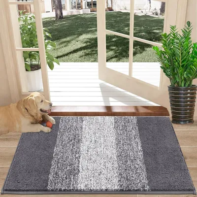 Immagine prodotto di Tappetino per interni ed esterni, antiscivolo, ad alta capacità di assorbimento dello sporco, 40 x 60 cm, colore grigio