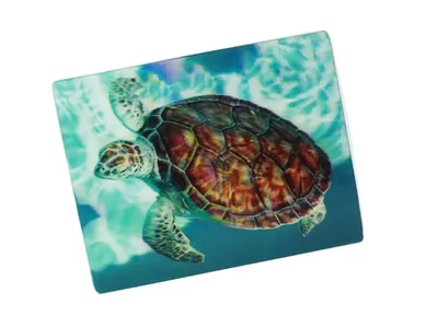 Produktbild von 3D Postkarte Meeresschildkröte