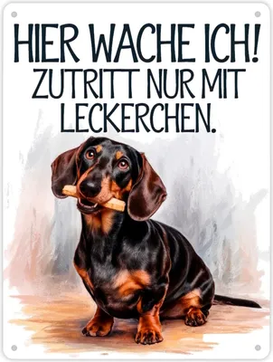 Produktbild von Zutritt nur mit Leckerchen Metallschild XL in 21x28 cm Dackel