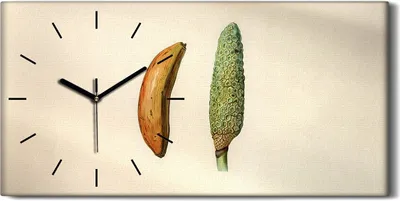 Produktbild von Wanduhr Uhr Wandbild Leinwand Geräuschlos 60x30 Malerei Früchte Blumen Kunst - schwarze Hände