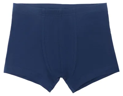 Produktbild von Bio-Baumwoll-Jungen Retroshorts