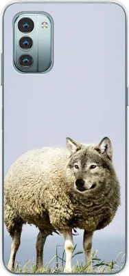 Produktbild von König Design Hülle kompatibel mit Nokia G11 Kunststoff Soft Handyhülle - Handy Case Wolf im Schafspelz