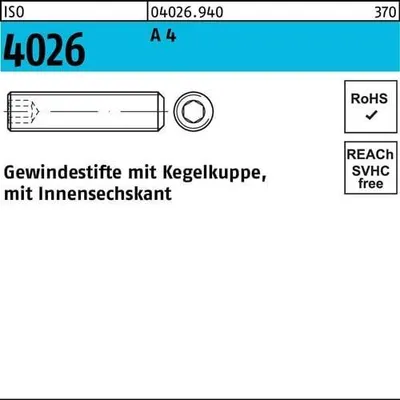 Produktbild von Reyher  Gewindestifte ISO 4026 A 4 M 10 x 50 A 4 (50 Stück)