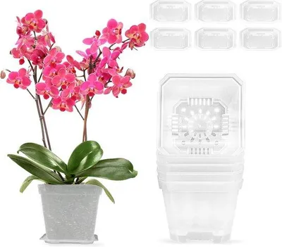 Immagine prodotto di Vasi da fiori trasparenti per orchidee con sistema di drenaggio - 6 pezzi - 10 cm