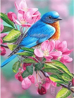 Produktbild von Norimpex Diamantmosaik - Vogel auf einem Ast 2000592