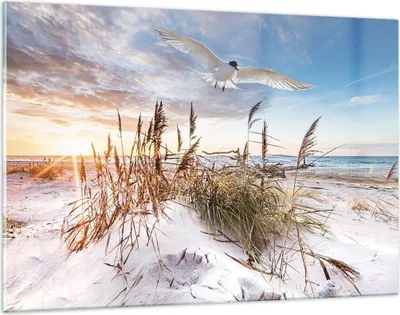 Produktbild von Bilder auf glas - Einteilig - Möwe Meer Küste - 120x80cm - Glasbilder - Wandbilder - Bilder - zum Aufhängen bereit - Wanddekoration aus Glas - Glas Bilder - Wandbild auf Glas - GAA120x80-4902