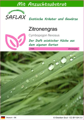 Produktbild von SAFLAX - Zitronengras - Cymbopogon flexosus - 50 Samen - Mit keimfreiem Anzuchtsubstrat