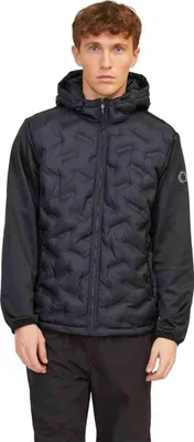 Image de Veste Jack&Jones 49998284521811 pour Homme