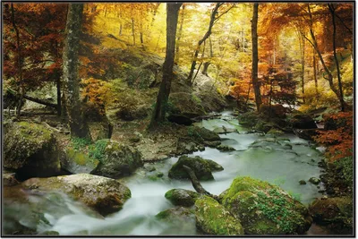 Produktbild von Wallario Wandbild Wasserfall mit moosbedeckten Steinen im Herbstwald, Größe: 61 x 91,50 cm, Poster mit schwarzem Aluminiumrahmen