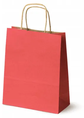 Produktbild von Allbag Papiertüten Rot 18x8x22,5 cm Geschenktüten 20 Stück