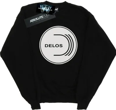 Produktbild von Westworld - "Delos" Sweatshirt für Herren BI48254 (4XL) (Schwarz)