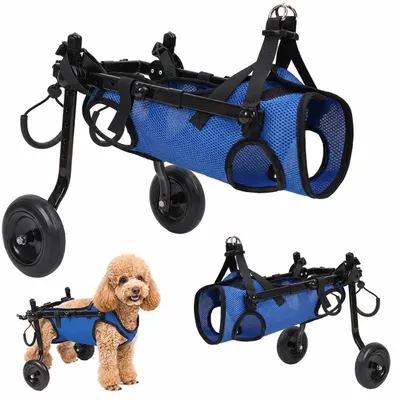 Produktbild von Verstellbarer Rollstuhl für mittelgroße Hunde
