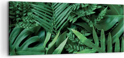 Produktbild von Bild auf Leinwand - Leinwandbild - Einteilig - Exotisch Blätter Monstera - 120x50cm - Wand Bild - Wanddeko - Wandbilder - Leinwanddruck - Bilder - Wanddekoration - Leinwand bilder - AB120x50-4746