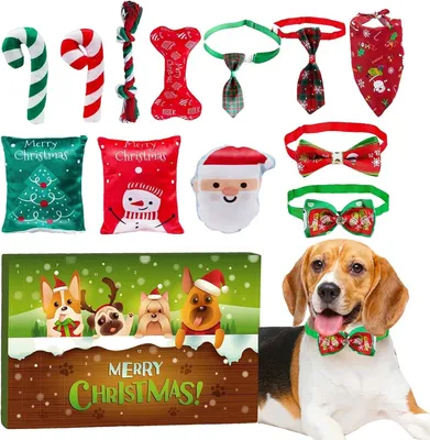 Immagine prodotto di Calendario dell'Avvento per cani 2026 - 12 giorni di attesa fino a Natale - 12 giocattoli interattivi per cani - Calendario dell'Avvento per amanti dei cani - B