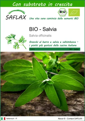 Immagine prodotto di SAFLAX  -- Salvia - 60 semi - Con substrato - Salvia