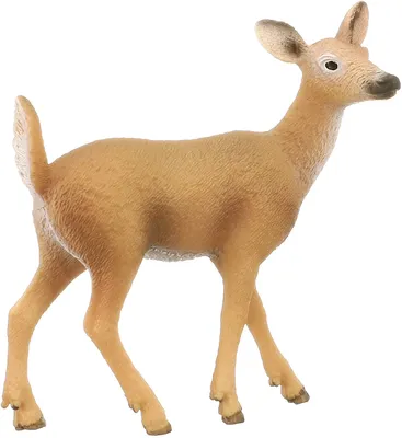 Obrázok produktu pre schleich WILD LIFE 14710, 3 rok / roky, Viacfarebný, Plast, 1 kusov