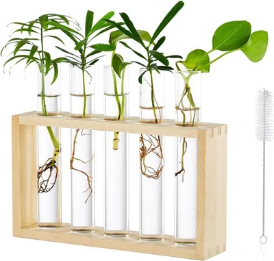 Image de Planche de table en verre Planteur 5 tubes à essai Vase Hydroponique Bureau Home Decoration