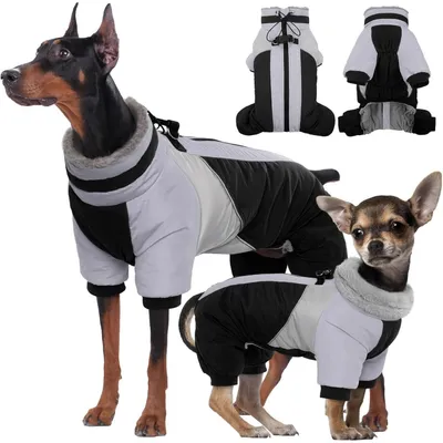 Produktbild von Wasserdichter Hundemantel mit Geschirr für kleine Hunde, Schwarz, Größe S